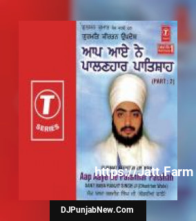 Aap Aaye Ne Palanhar Patshah Sant Baba Ranjit Singh Ji-Dhadrian Wale song cover