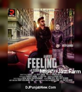Feeling Aardee song cover