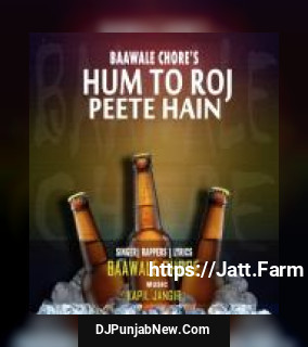 Hum To Roj Peete Hain Baawale Chore song cover