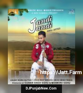 Jandi Jandi Seera Buttar song cover