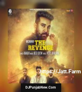 The Revenge 0300 Baaghi song cover