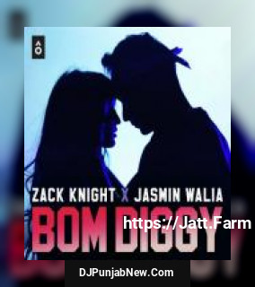 Bom Diggy Zack Knight, Jasmin Walia song cover