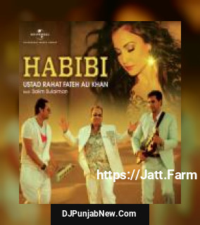 Habibi Rahat Fateh Ali Khan song cover