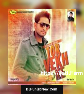 Tor Vekh Ke Eknoor Sidhu song cover
