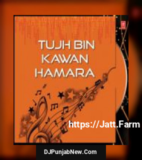 Tujh Bin Kawan Hamara Bhai Tejinder Singh Ji song cover