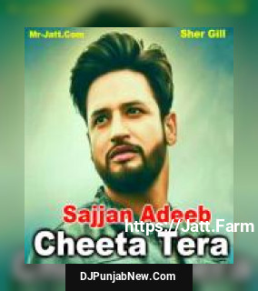 Cheeta Tera Sajjan Adeeb song cover