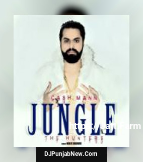 Jungle The Huters Cash Mann song cover
