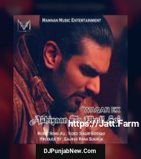 Akhiyaan To Phull Hoi Waqar EX song cover