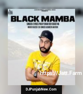 Black Mamba Pavvy Brar , Jasmeen Akhtar song cover