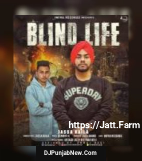 Blind Life Jassa Kaila song cover