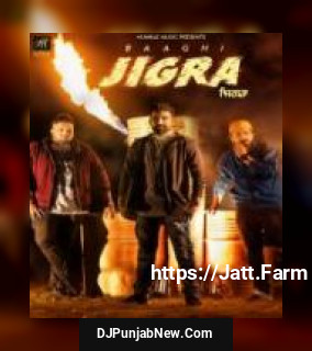 Jigra Baaghi song cover
