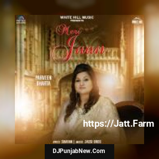 Meri Jaan Parveen Bharta song cover