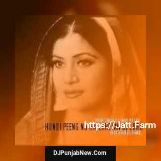 Peeng Amar Noorie song cover