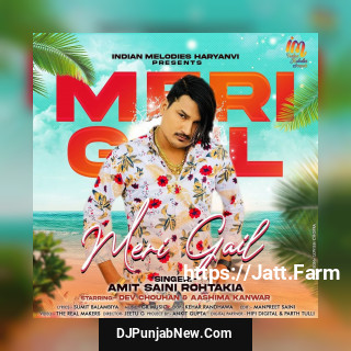 Meri Gail song cover