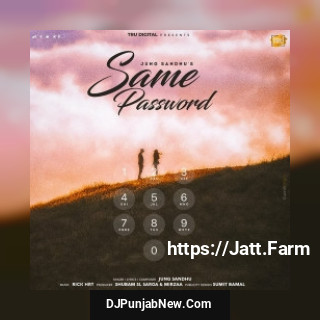 Same Password song cover