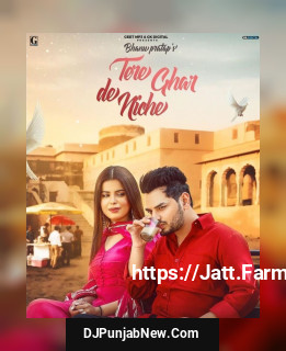 Tere Ghar De Niche song cover