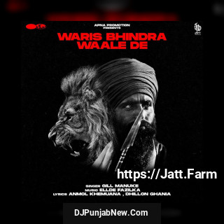 Waris Bhindra Waale De song cover
