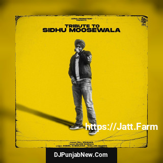 Tribute To Sidhu Moosewala song cover