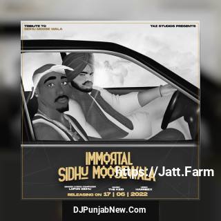 Immortal Sidhu Moosewala song cover