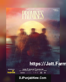 Promises song cover
