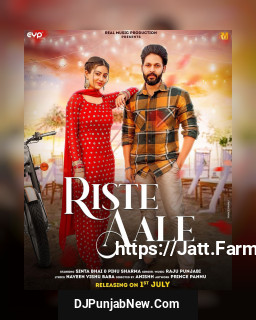 Riste Aale song cover