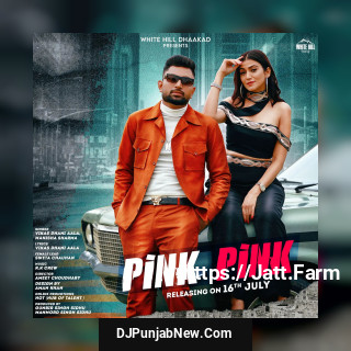 Pink Pink song cover
