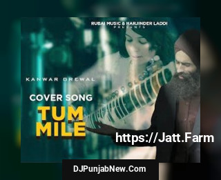 Tum Mile song cover