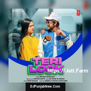 Teri Look song cover
