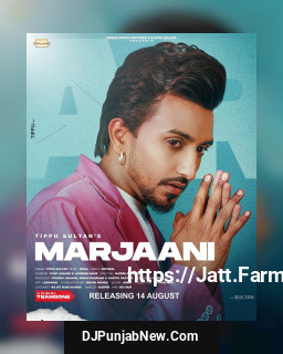 Marjaani song cover