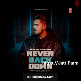 Never Back Down song cover