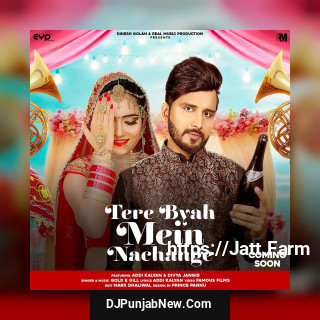 Tere Byah Mein Nachange song cover