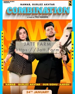 Combination song cover