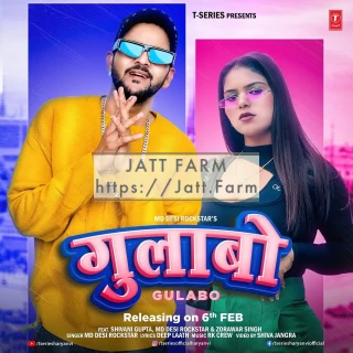 Gulabo song cover
