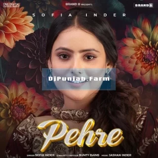 Pehre song cover