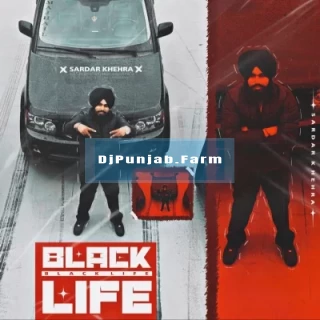Black Life song cover