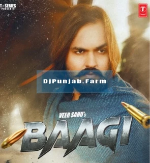 Baagi song cover
