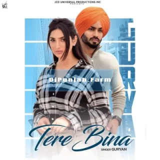 Tere Bina song cover