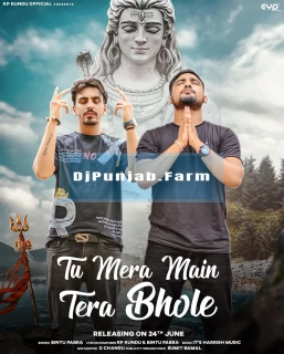 Tu Mera Main Tera Bhole song cover