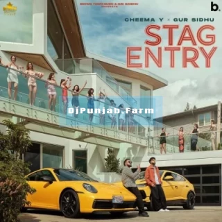 Stag Entry song cover