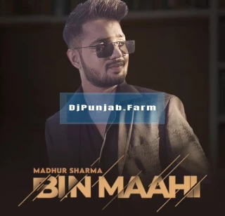 Bin Maahi song cover