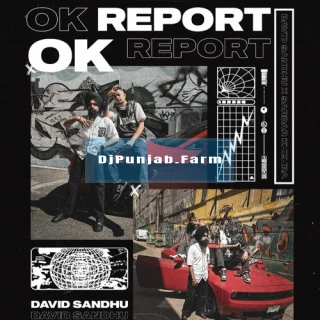 Ok Report song cover