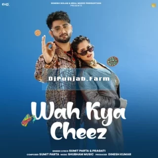 Wah Kya Cheez song cover