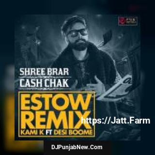 Cash Chak Shree Brar song cover