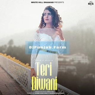 Teri Diwani song cover