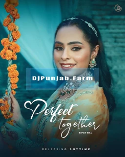 Perfect Together song cover