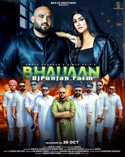 BhaiJaan song cover