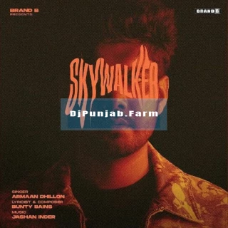 Skywalker song cover