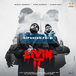 Livin It song cover
