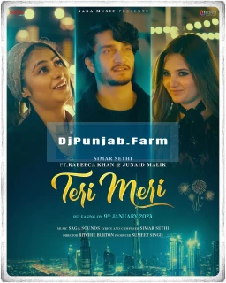 Teri Meri song cover
