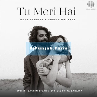 Tu Meri Hai song cover